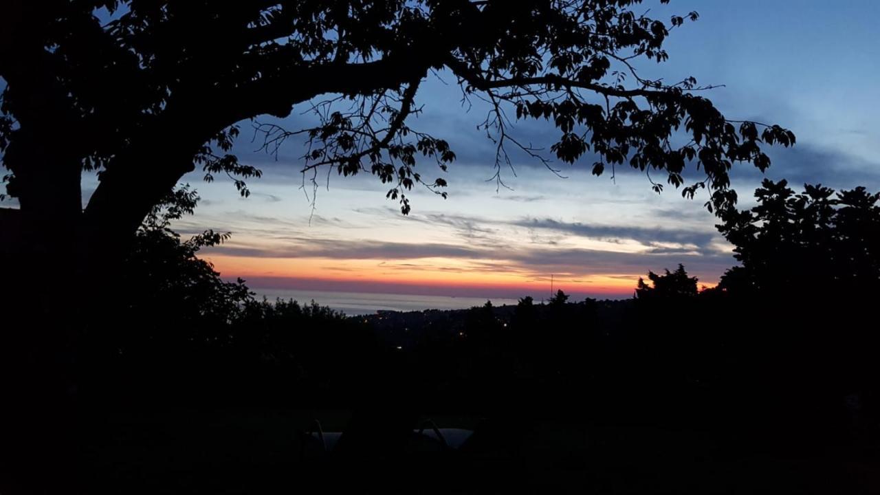 Peaceful Cherry Place Πορτορόζ Εξωτερικό φωτογραφία